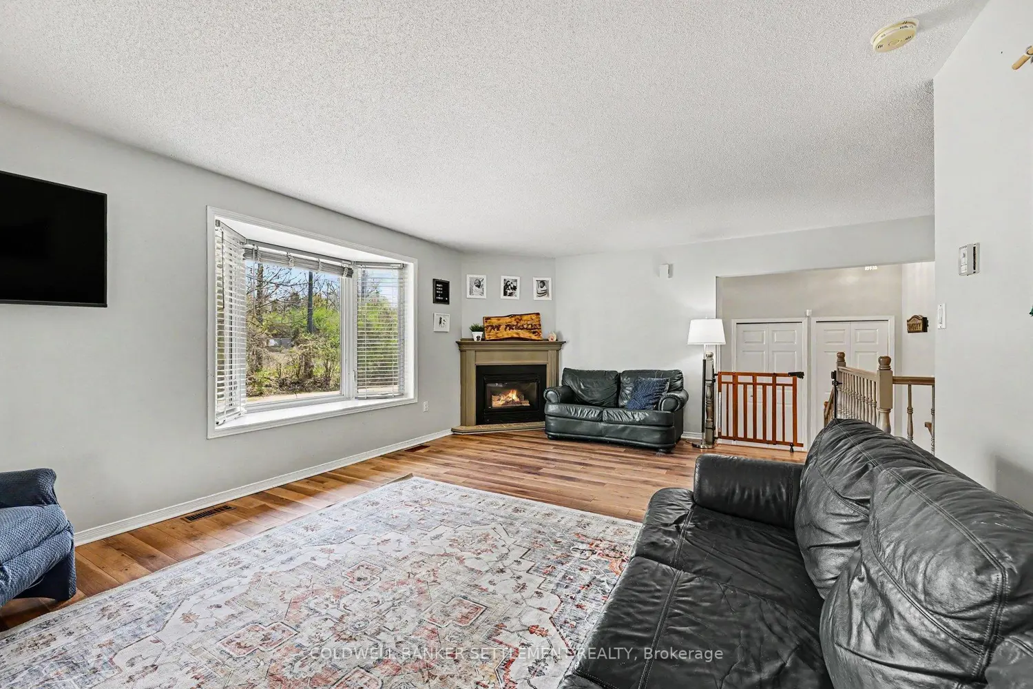 136 Charlotte Street photo 3