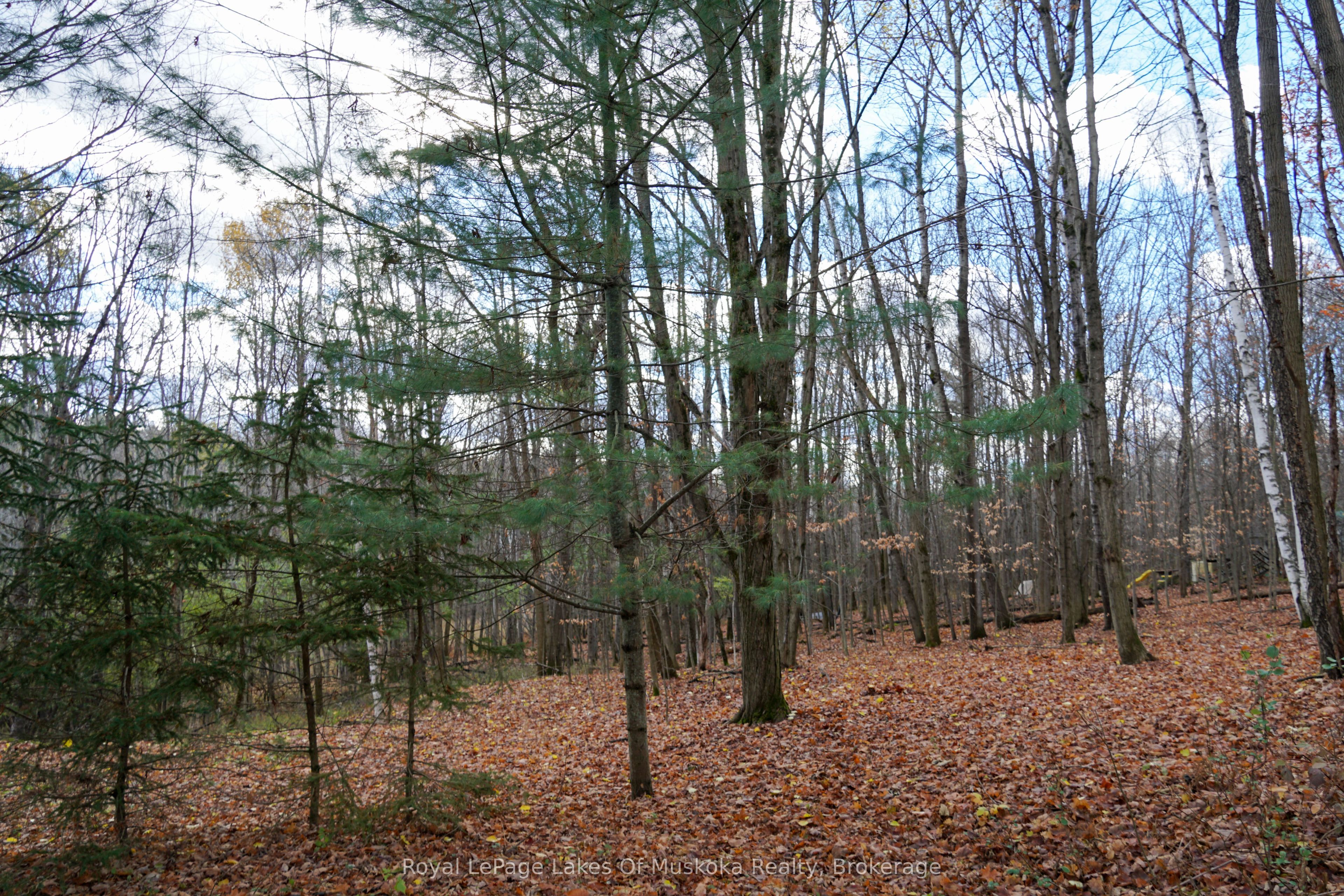 Additional image 5 of 8 Rice Lane, Huntsville, ON, P1H 1V4
