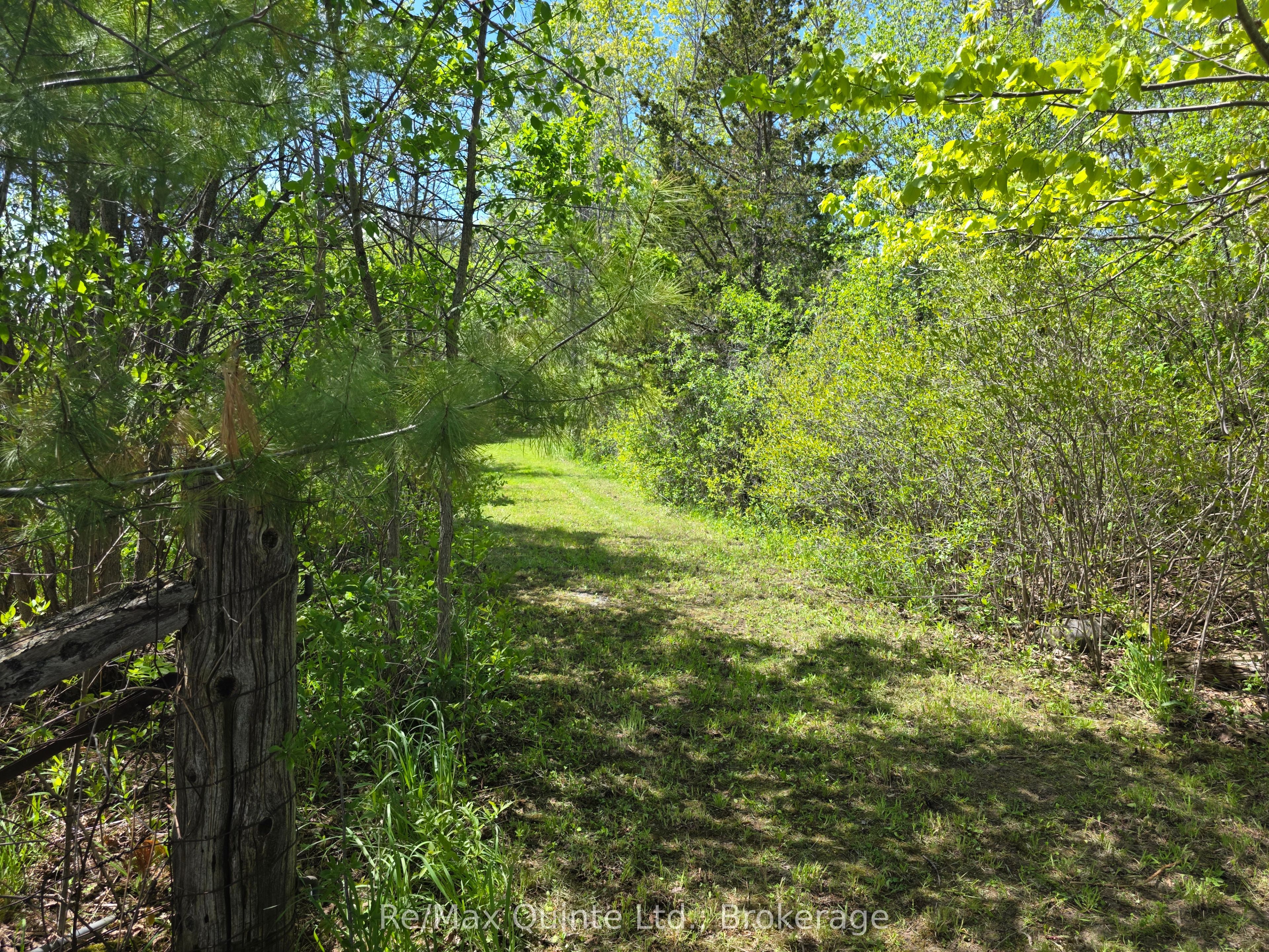 Additional image 5 of Across From 3904 Cty Rd 49 N/a, Prince Edward County, ON, K0K 2T0