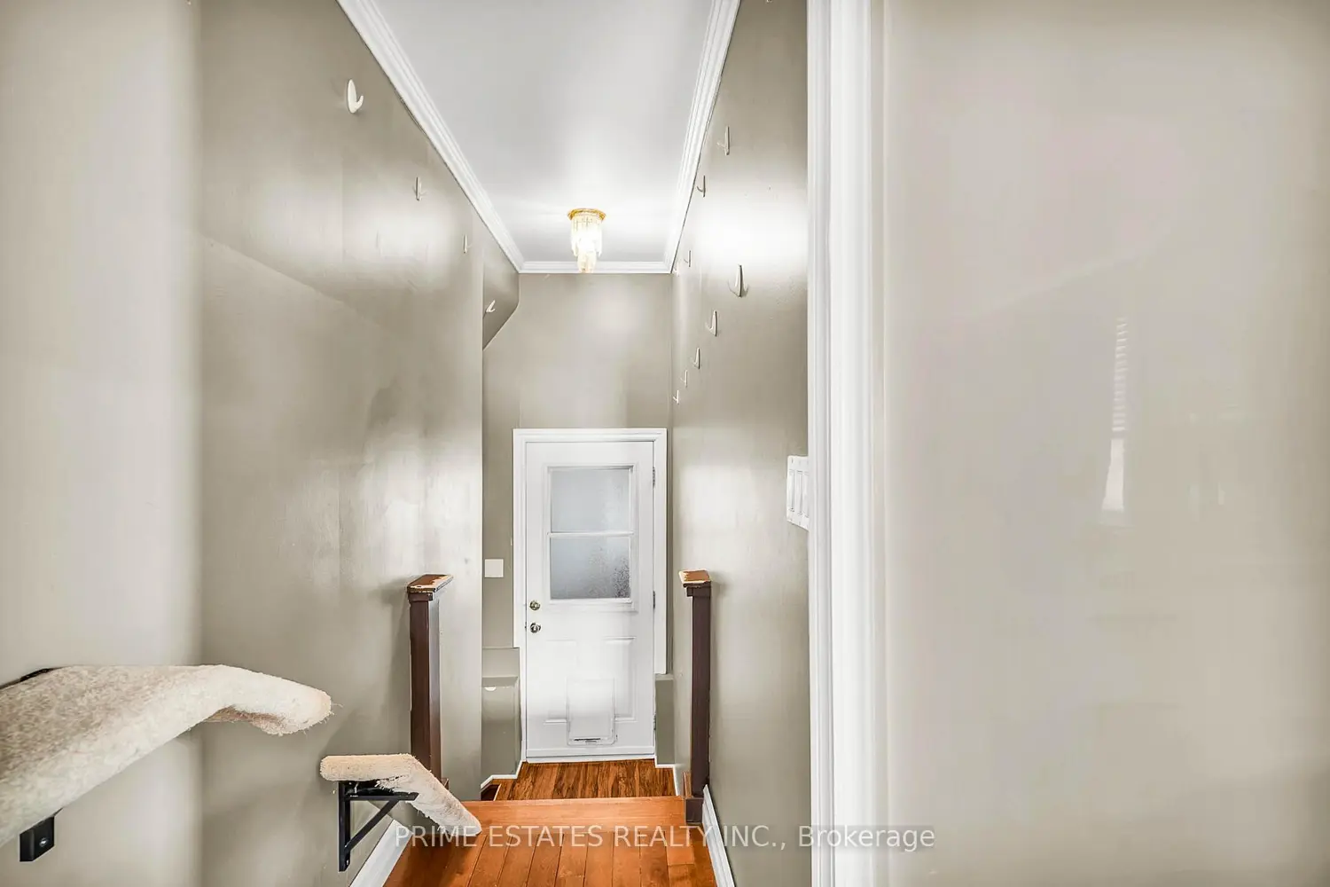 Additional image 5 of 185 Cameron Street