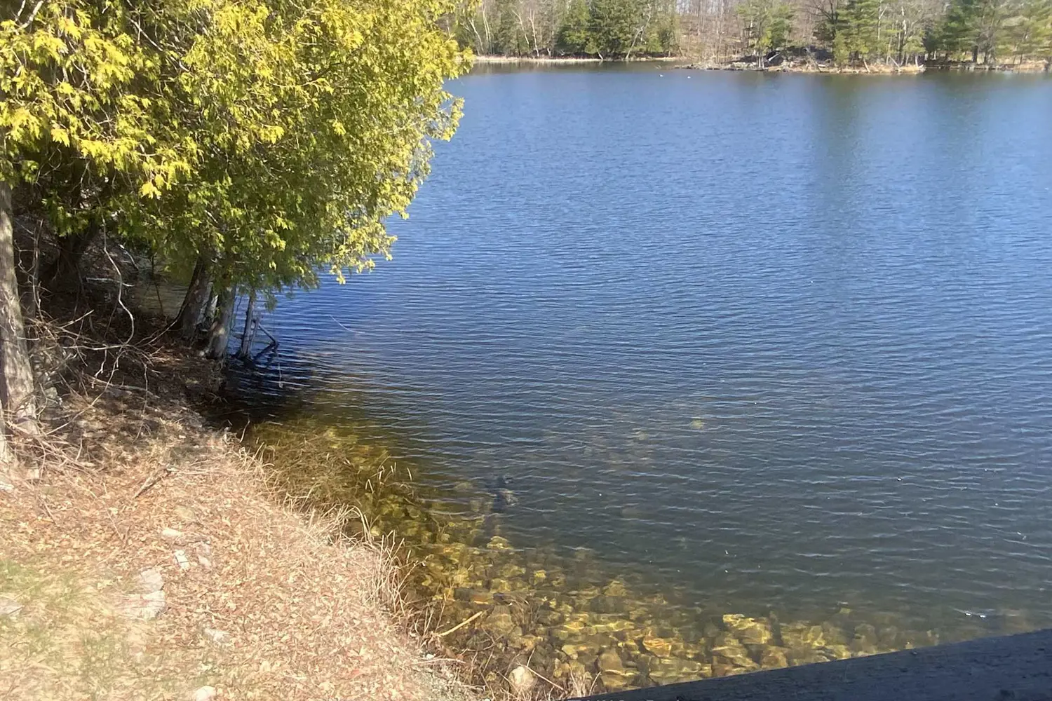 Additional image 16 of 747 Brooks Corner Road