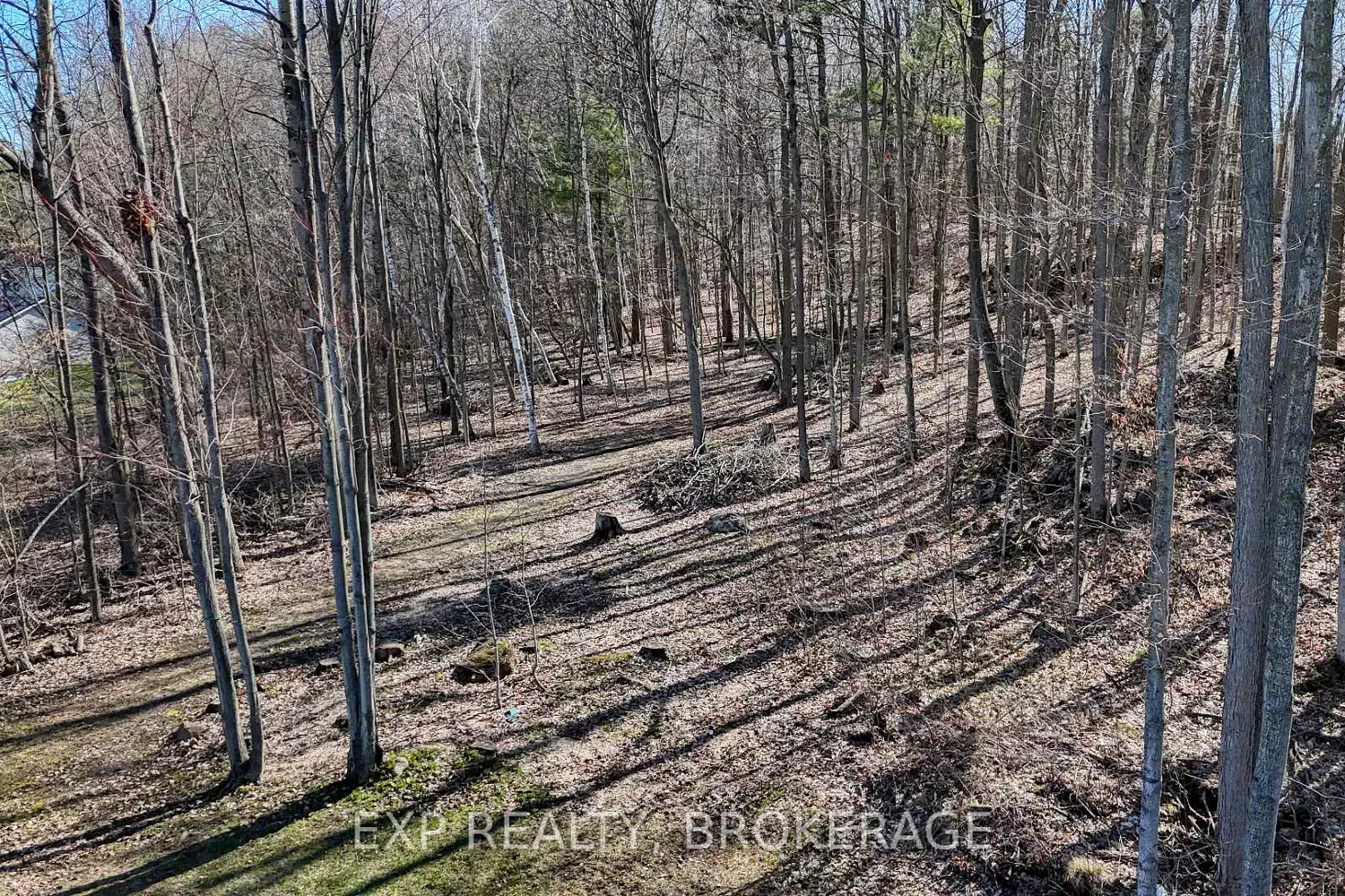 Additional image 18 of 5576 Mcfadden Road