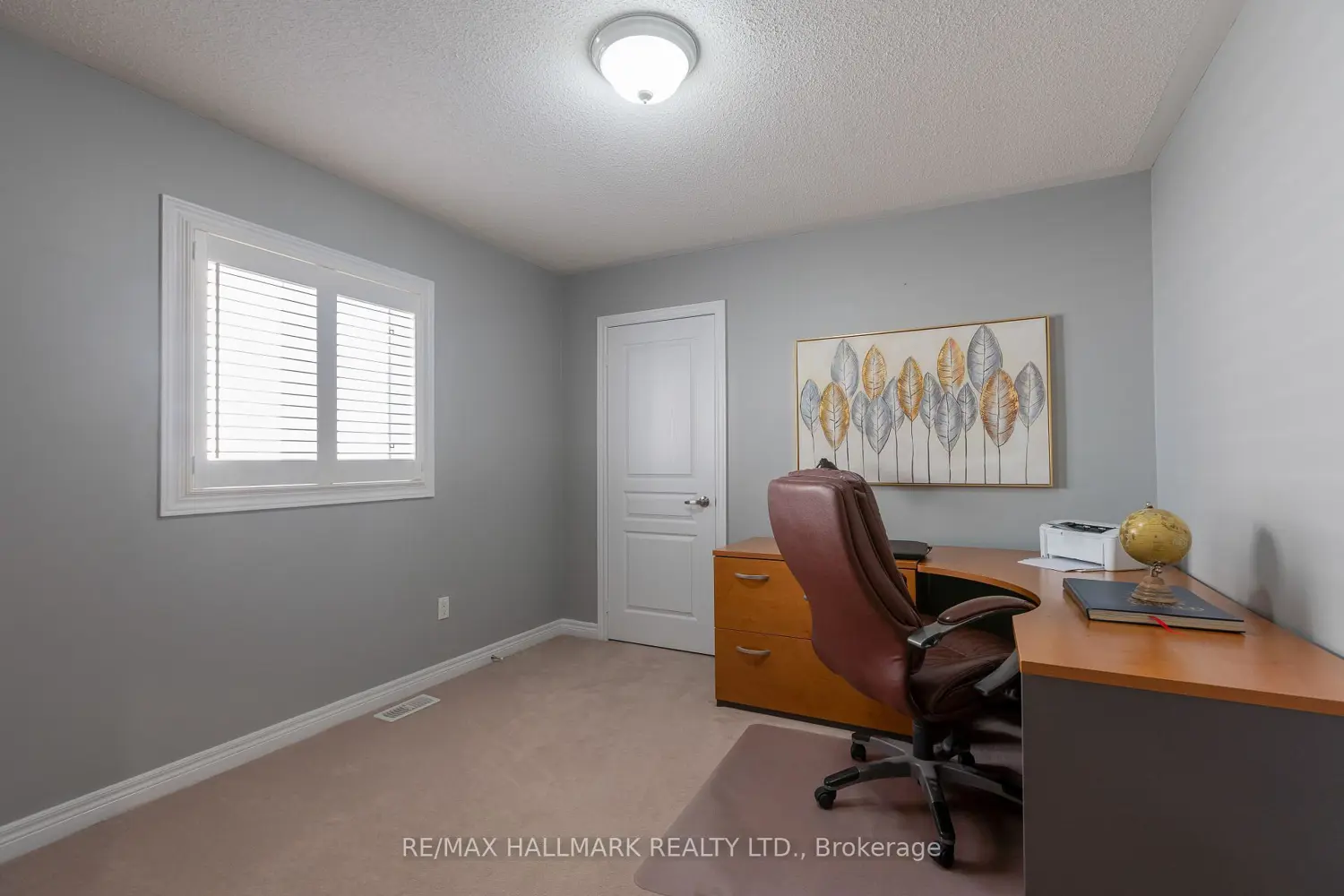 Additional image 11 of 24 Begonia Crescent