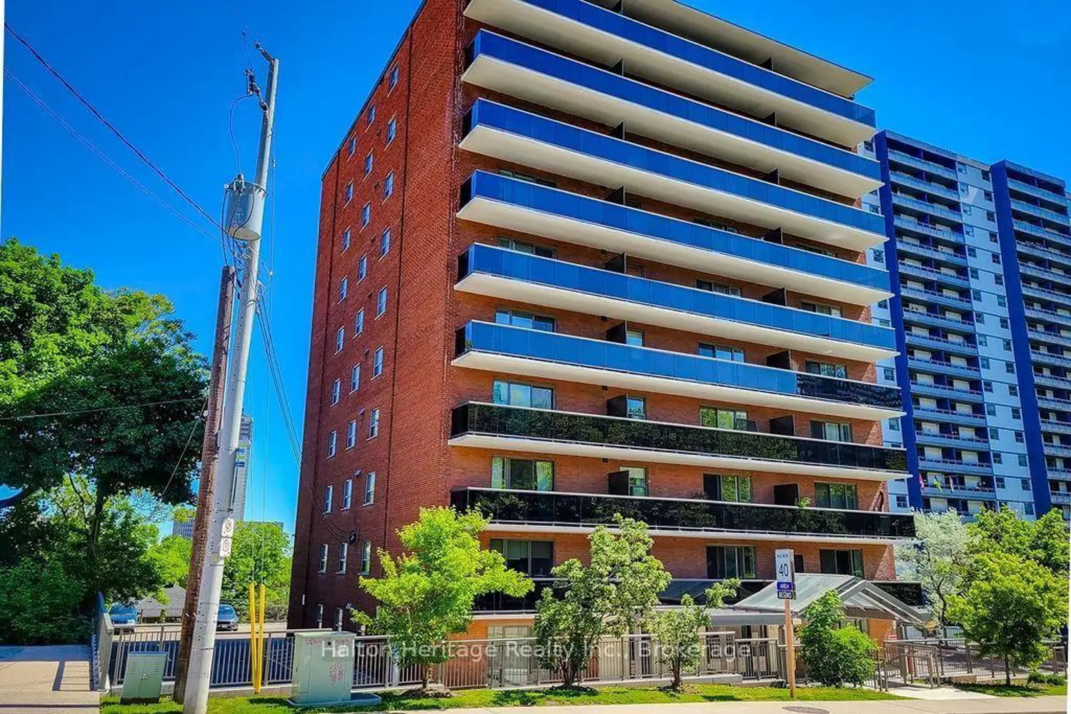 81 Charlton Avenue 905