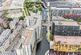 Additional image 27 of Vesta Street, Manchester M4