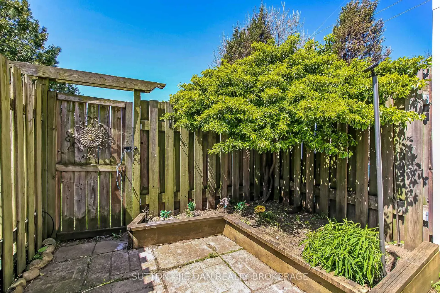 Additional image 16 of 1919 Trafalgar Street 3