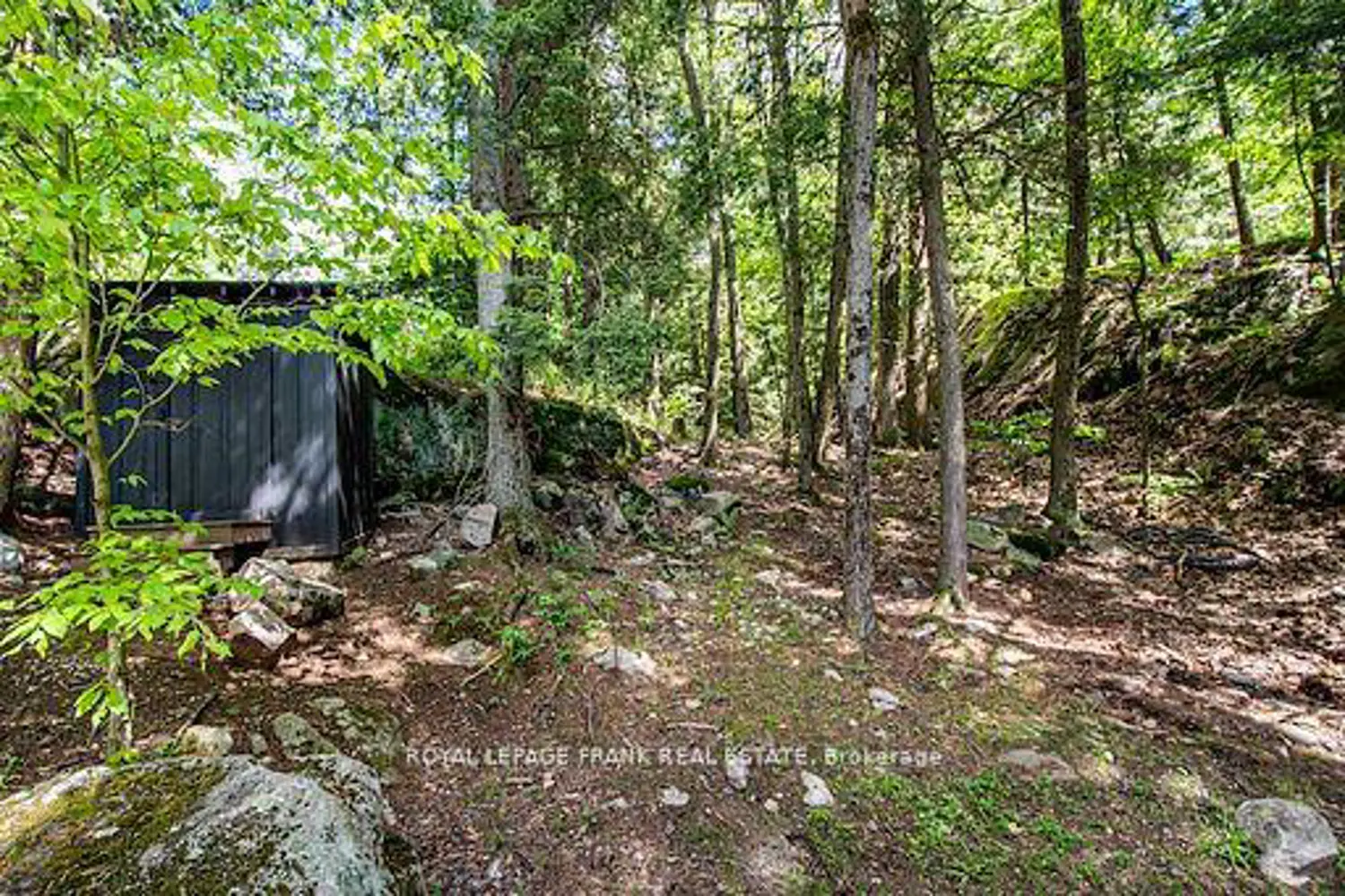 Additional image 16 of 119 Fire Route 242