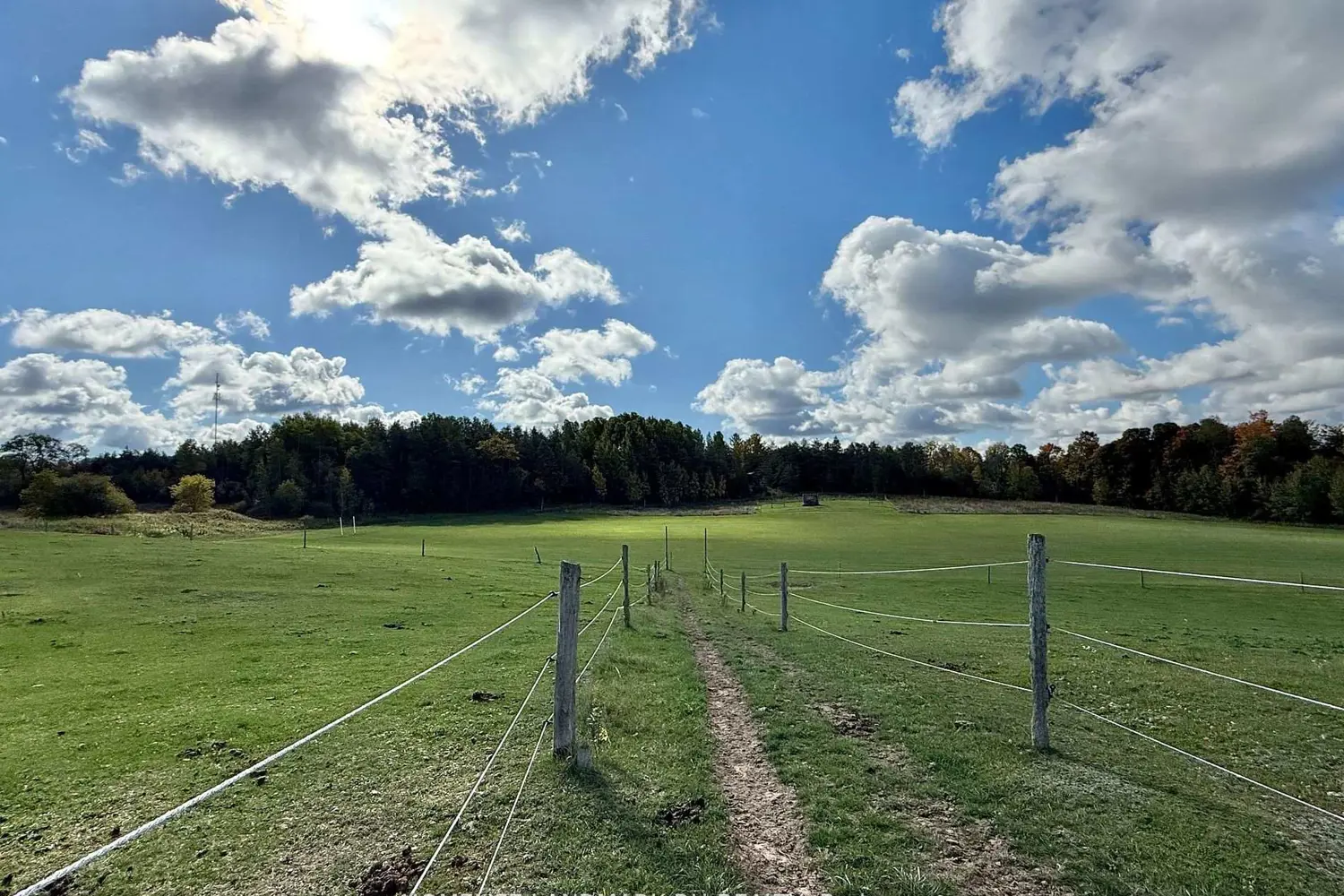 Additional image 11 of 5031 Herald Road