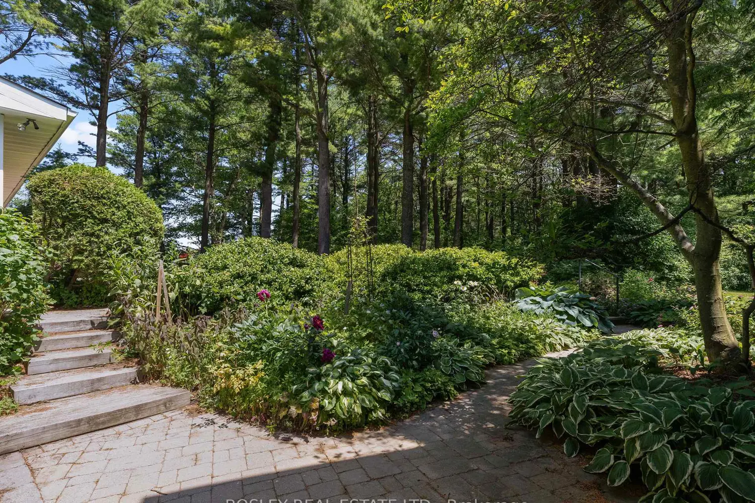 256 Wilson Drive photo 4