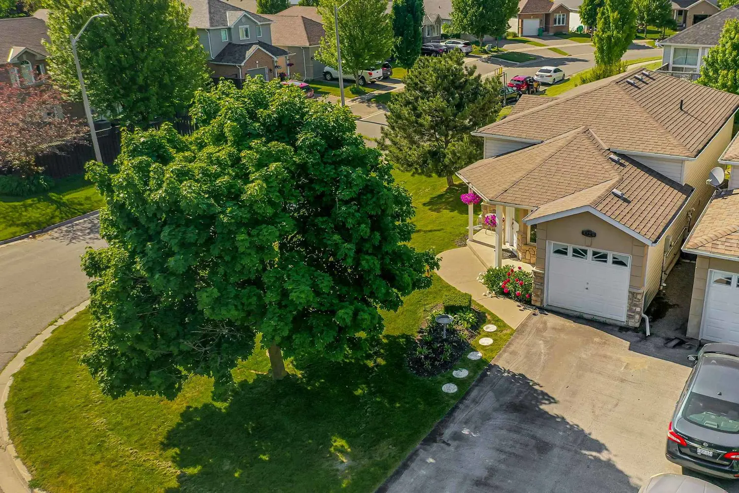 Additional image 19 of 626 Trailview Drive