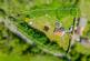 Additional image 4 of Church Road, Otley, IP6