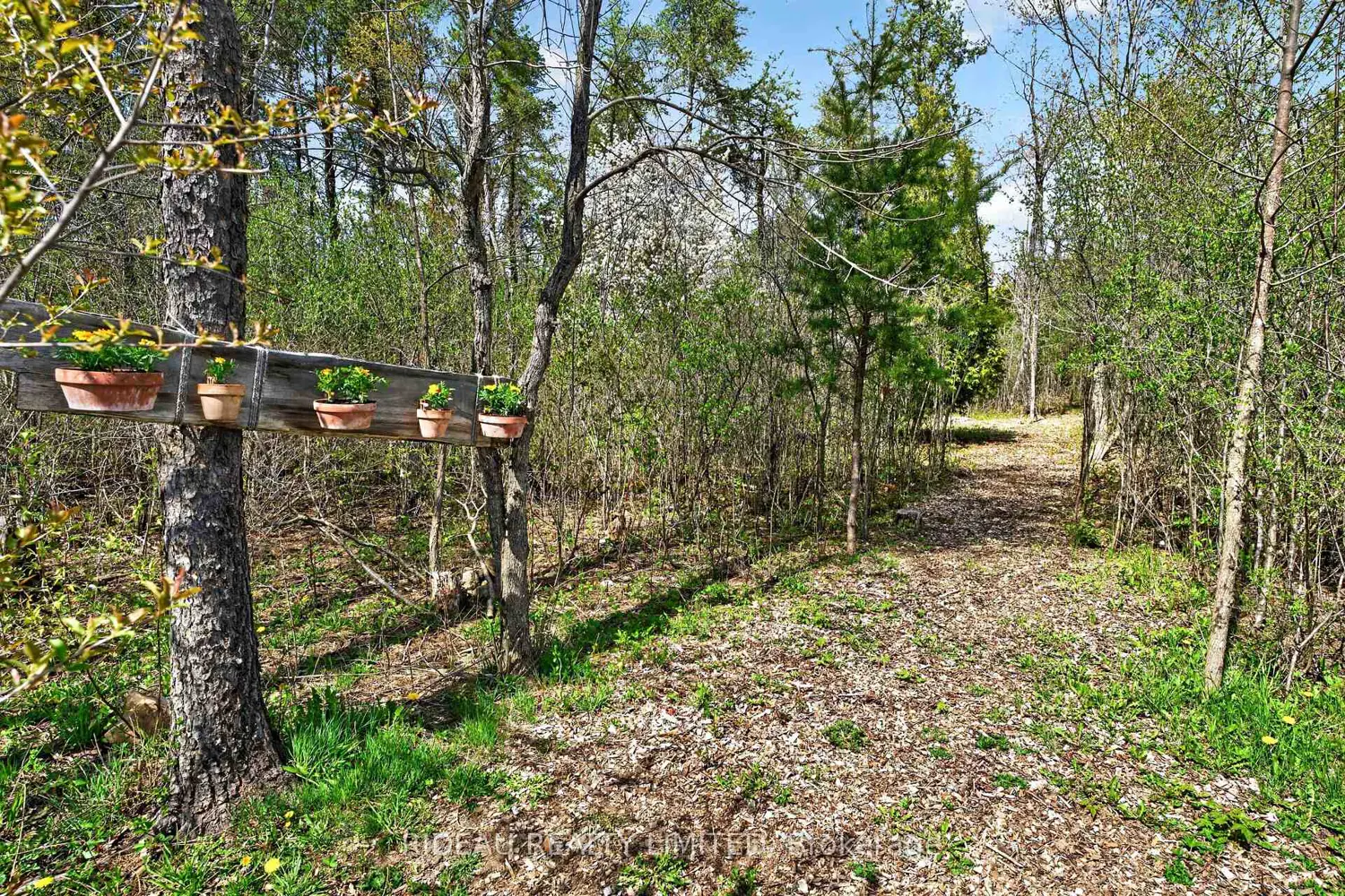 Additional image 15 of 44 Blanchards Hill Road