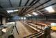 Additional image 15 of Craiglea Farm, Sliddery, Isle of Arran, North Ayrshire, KA27