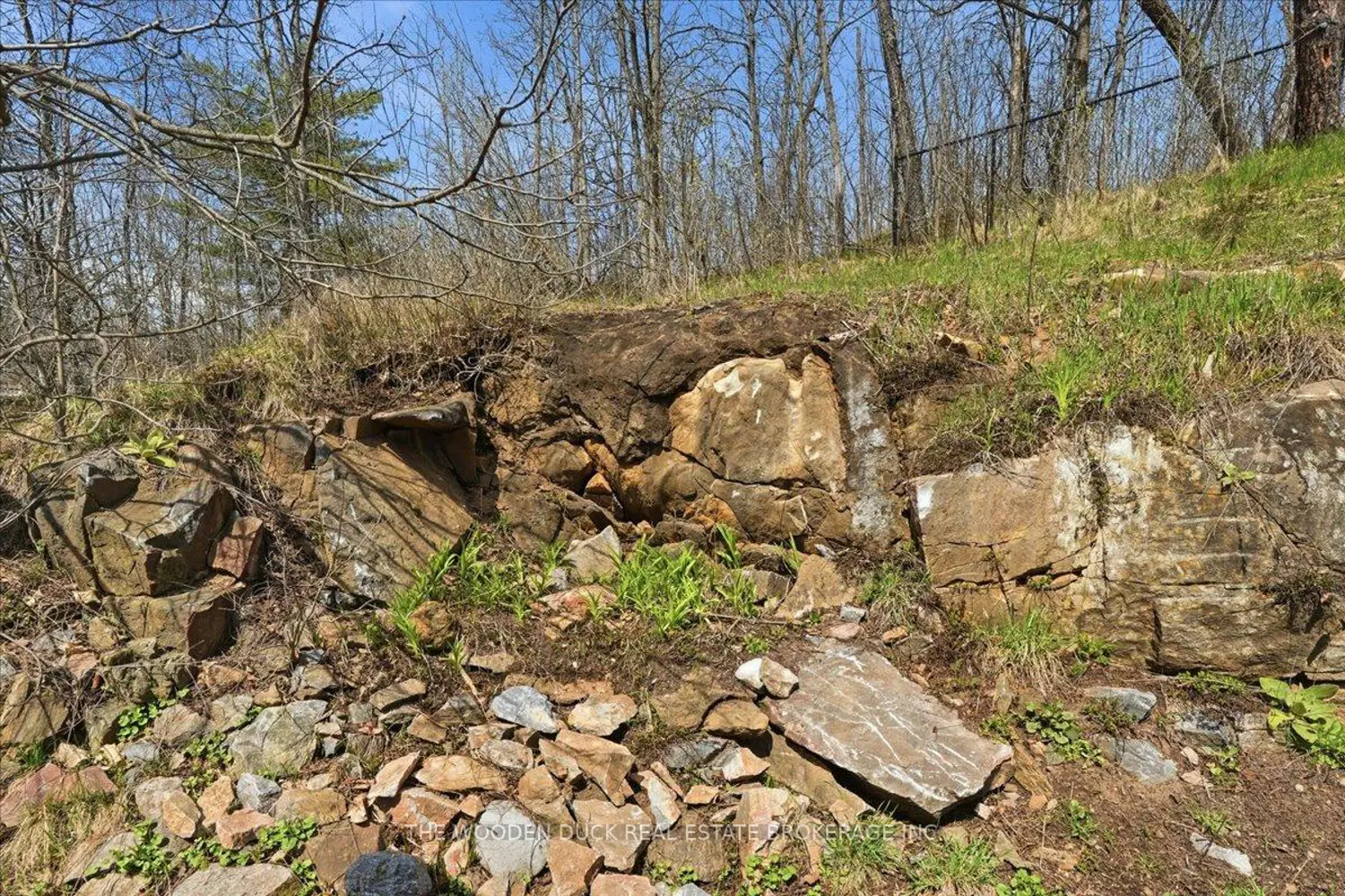 Additional image 18 of 96 Livingstone Avenue