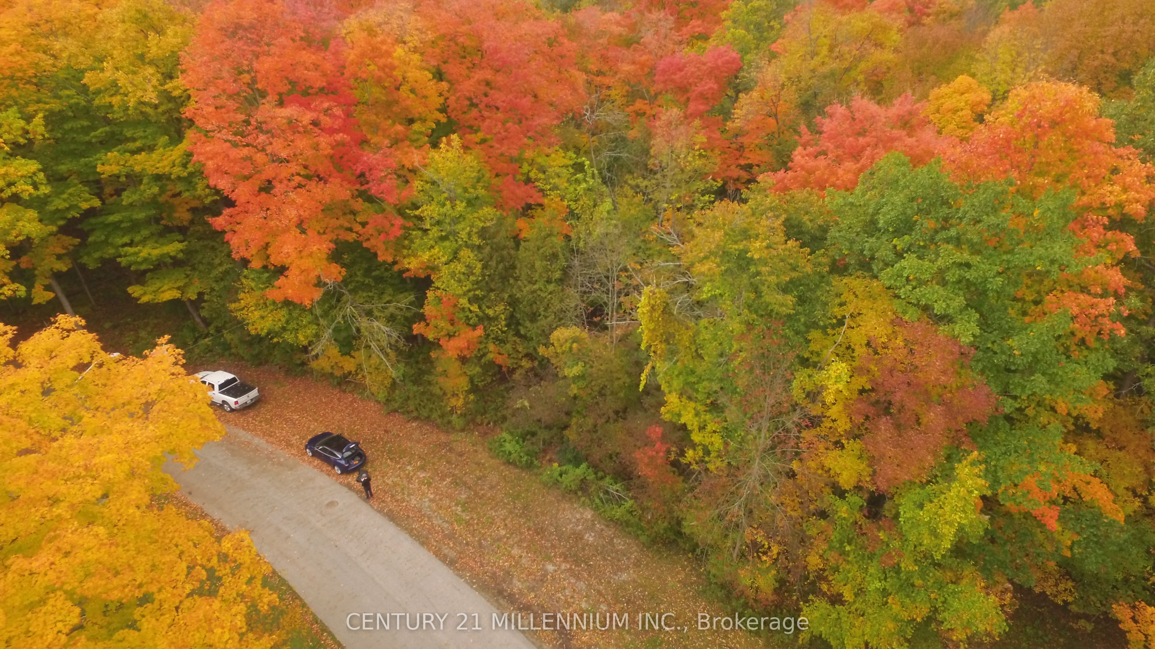 Additional image 5 of 11 Knox Road E, Wasaga Beach, ON, L9Z 2T6