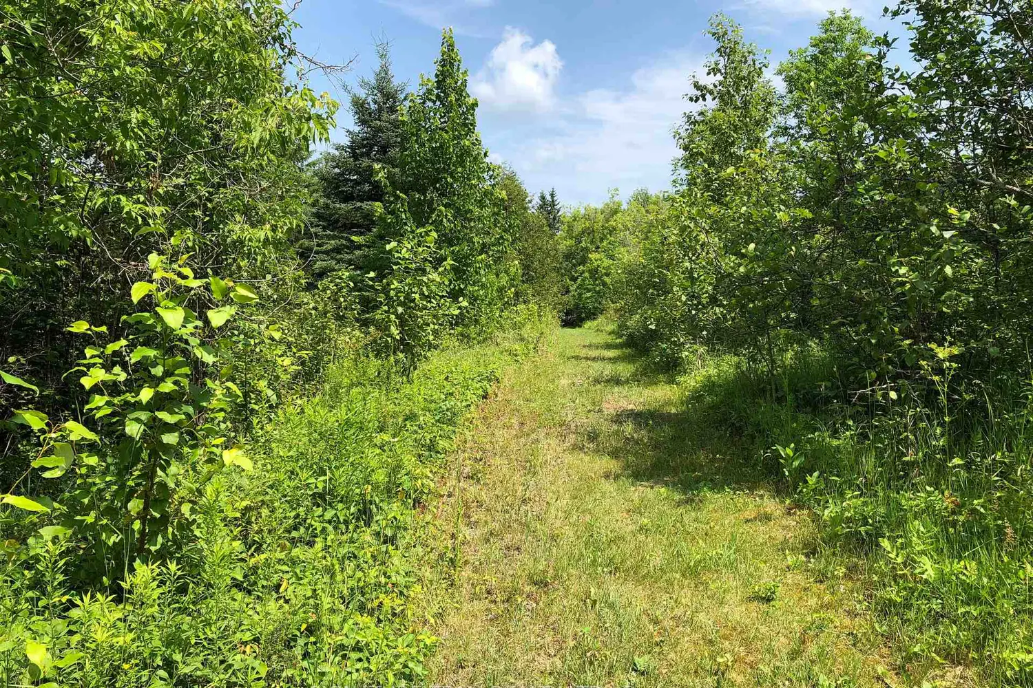 Additional image 8 of 3092 Scotch Bush Road