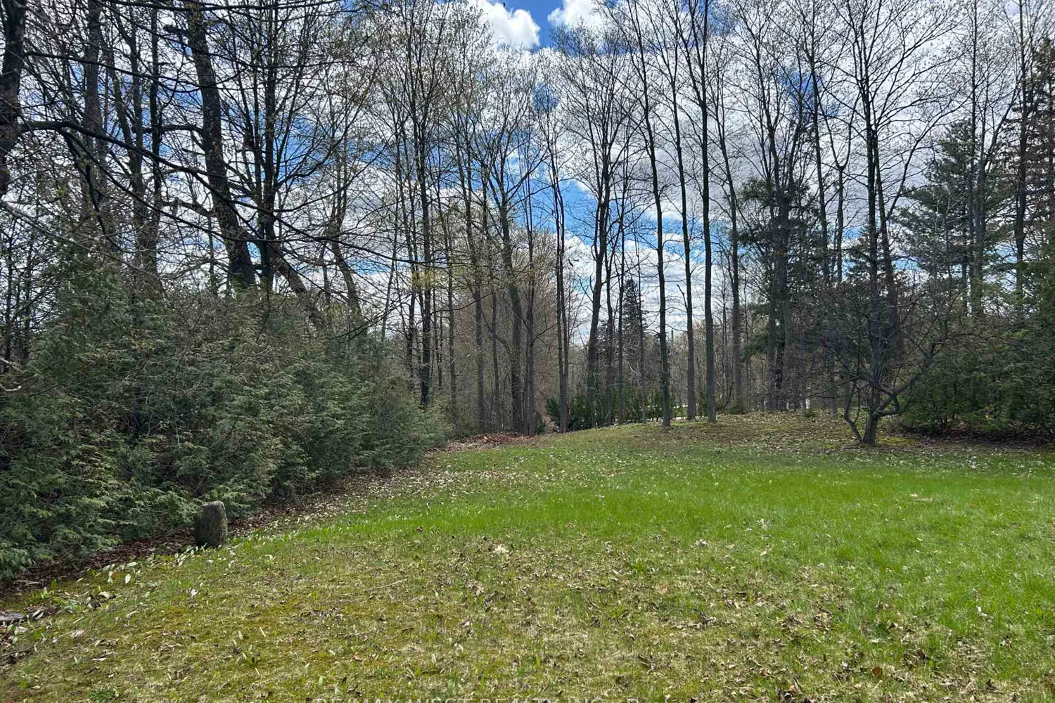 Additional image 4 of 55 Elmpine Trail