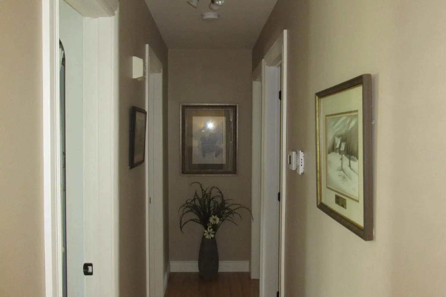 8 David Street photo 4