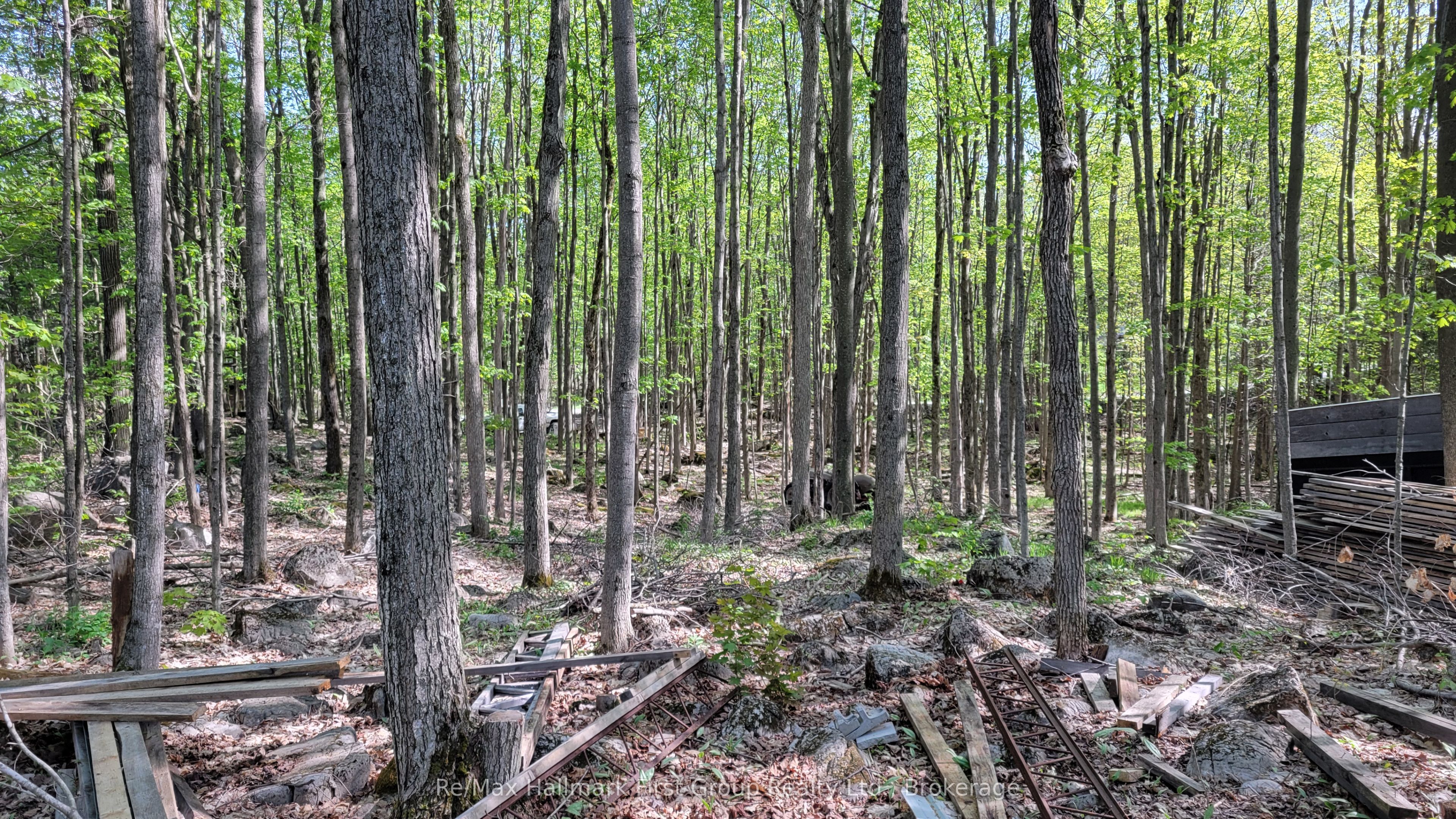 Lot 15 James Street, Tweed, ON, K0K 2L0