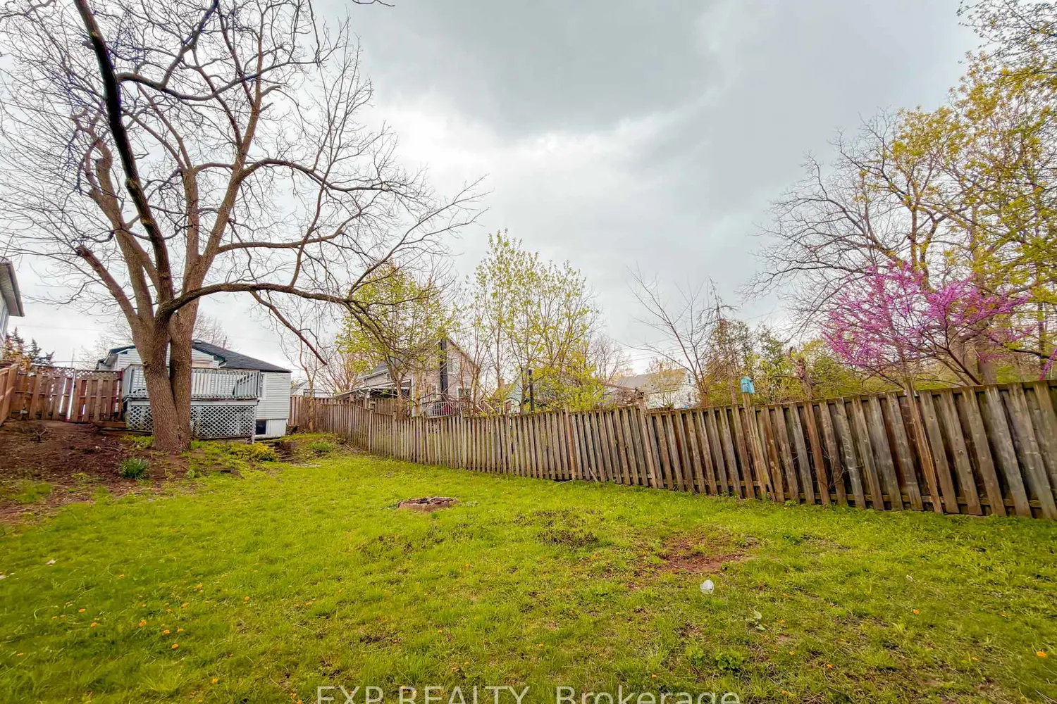 Additional image 18 of 50 Emery Street