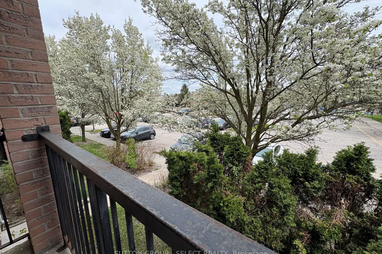 Additional image 10 of 2228 Trafalgar Street 226