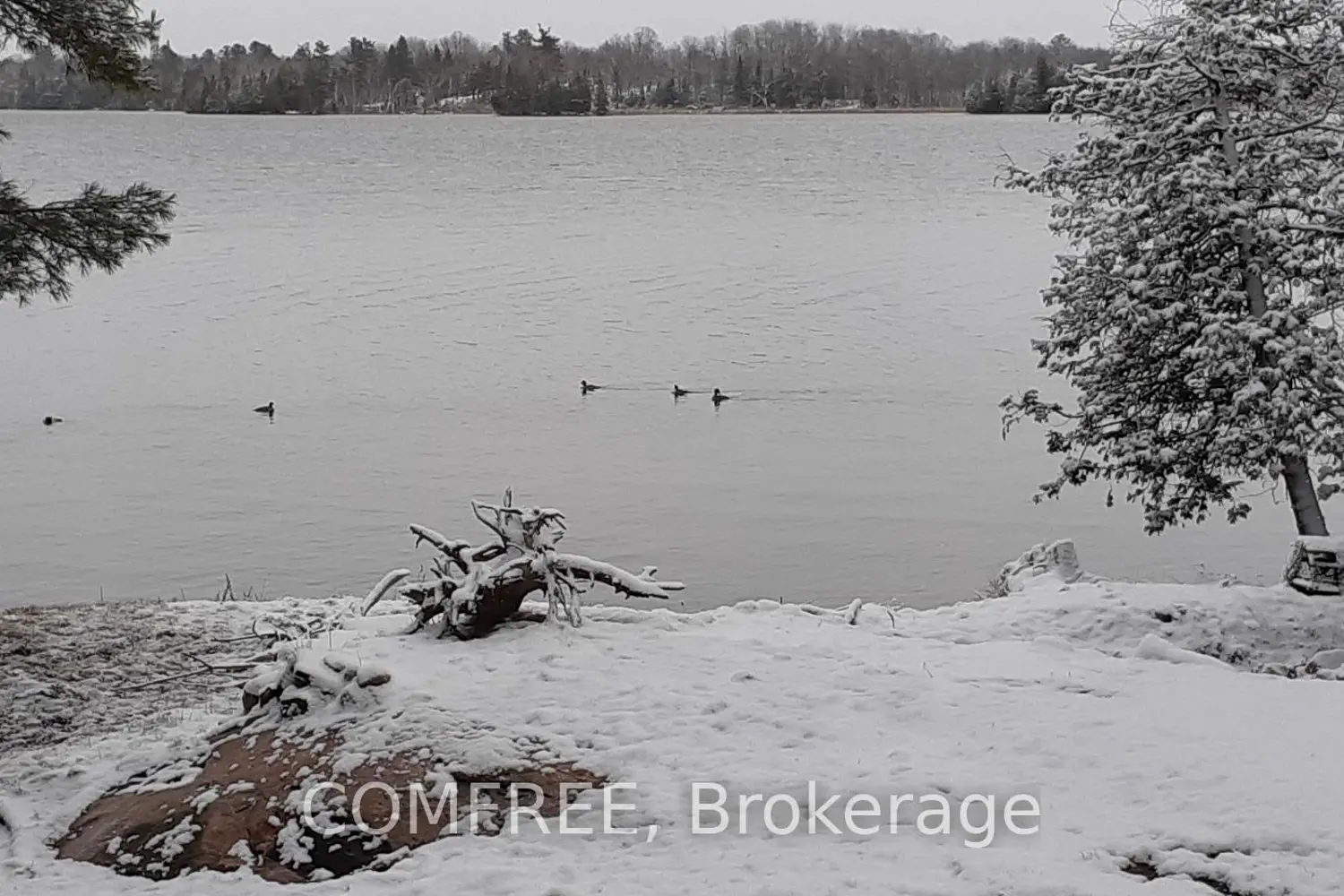 Additional image 19 of 1005 Hoyle Lane