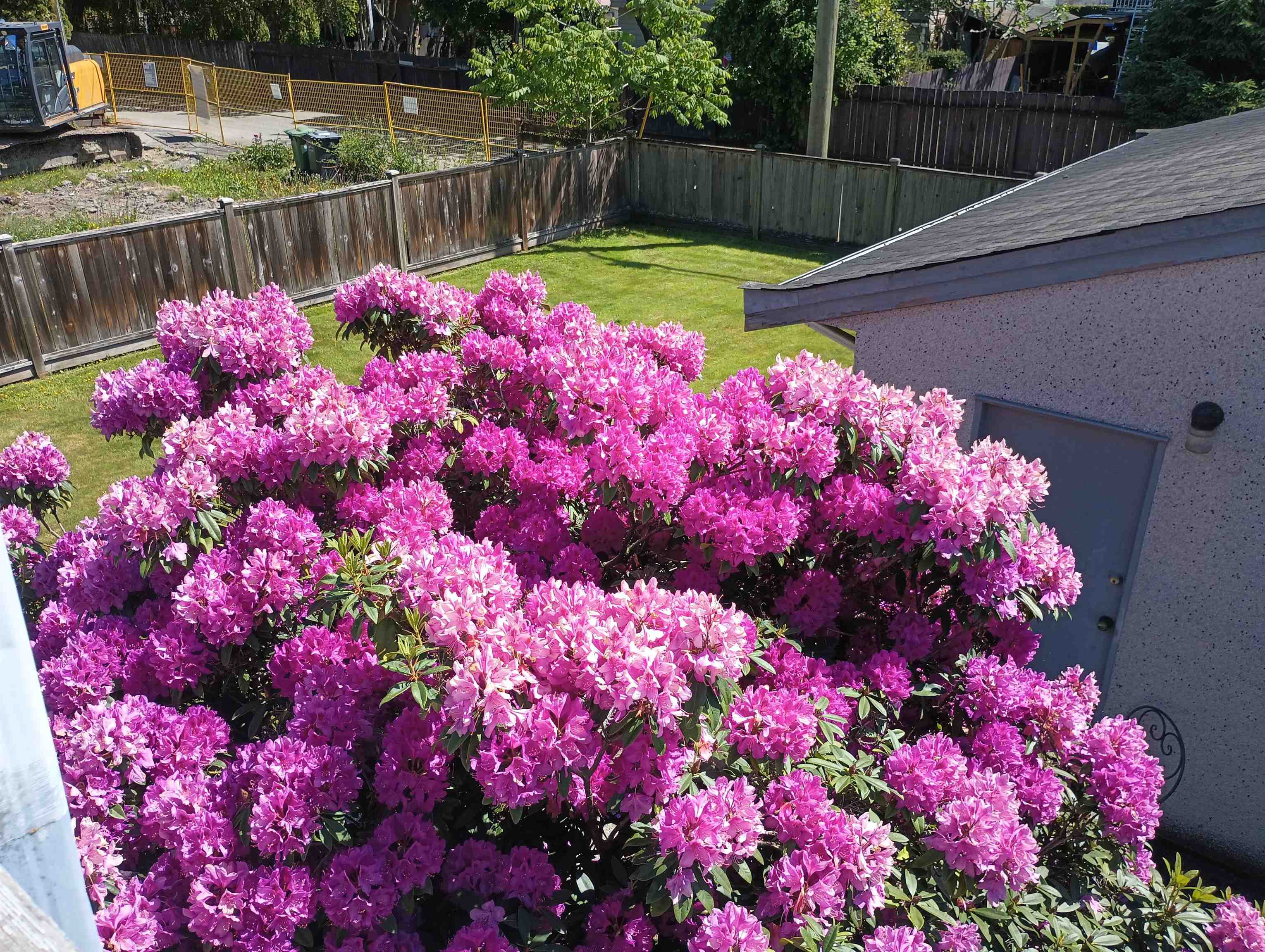 Additional image 6 of 11700 Williams Road, Richmond, BC, V7A 1J4