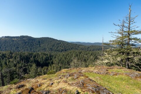 Additional image 8 of 1505 Nighthawk Lane, Sooke, BC, V9Z 1M9