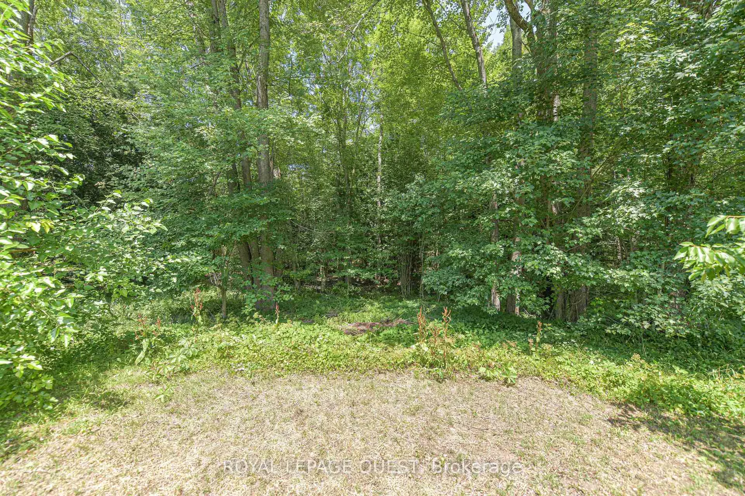 Additional image 4 of 1046 Southwood Road