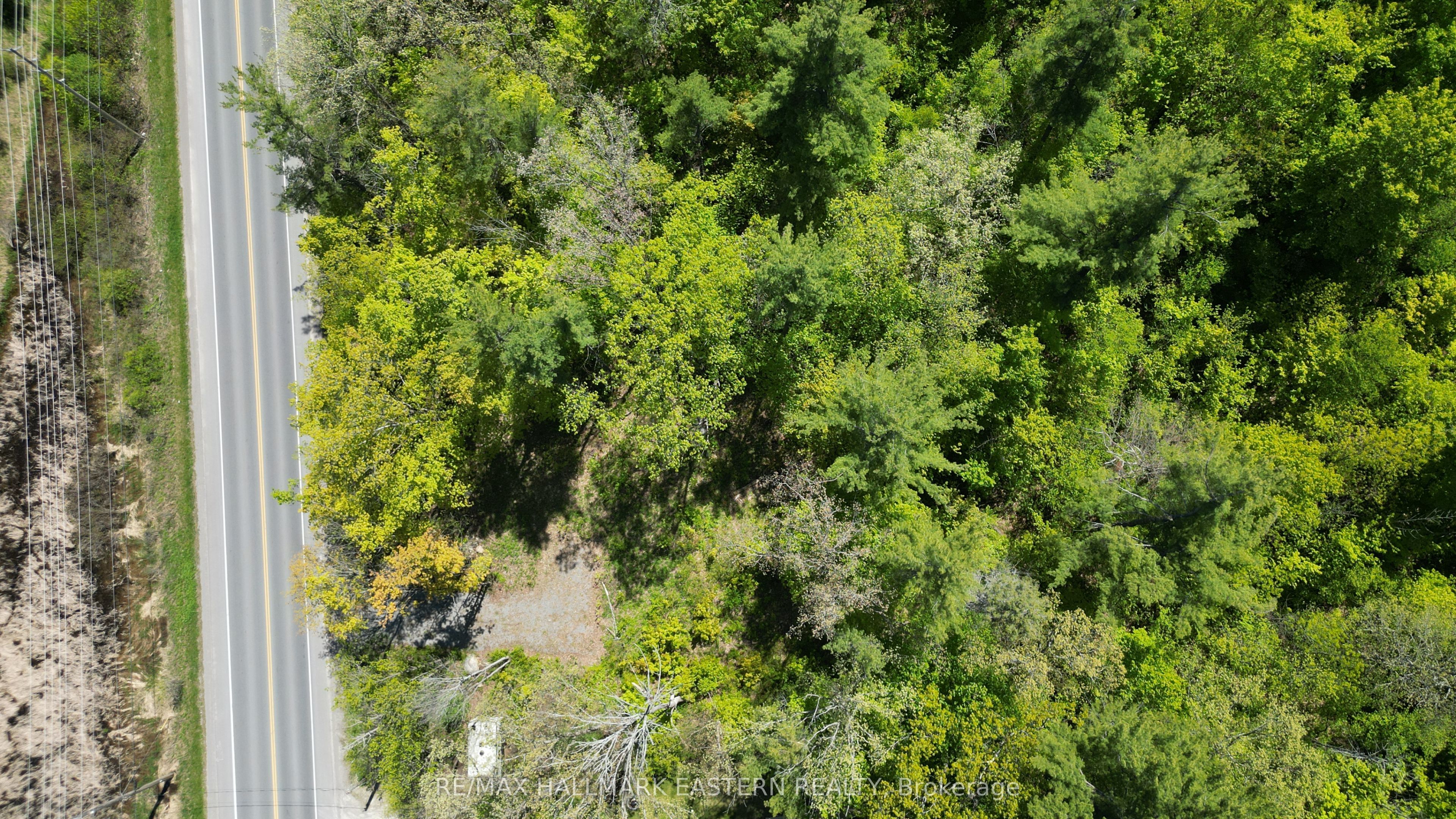 Additional image 4 of N/A County Road 30 N/a, Trent Hills, ON, K0L 1L0