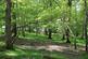 Additional image 29 of Hatherleigh, Okehampton, Devon EX20