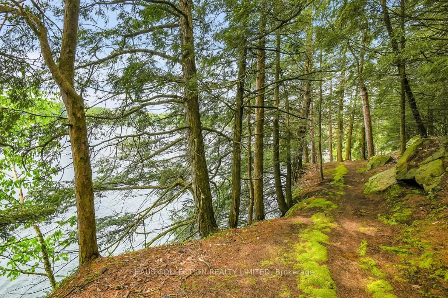 Additional image 15 of 1 Little Grenadier Island