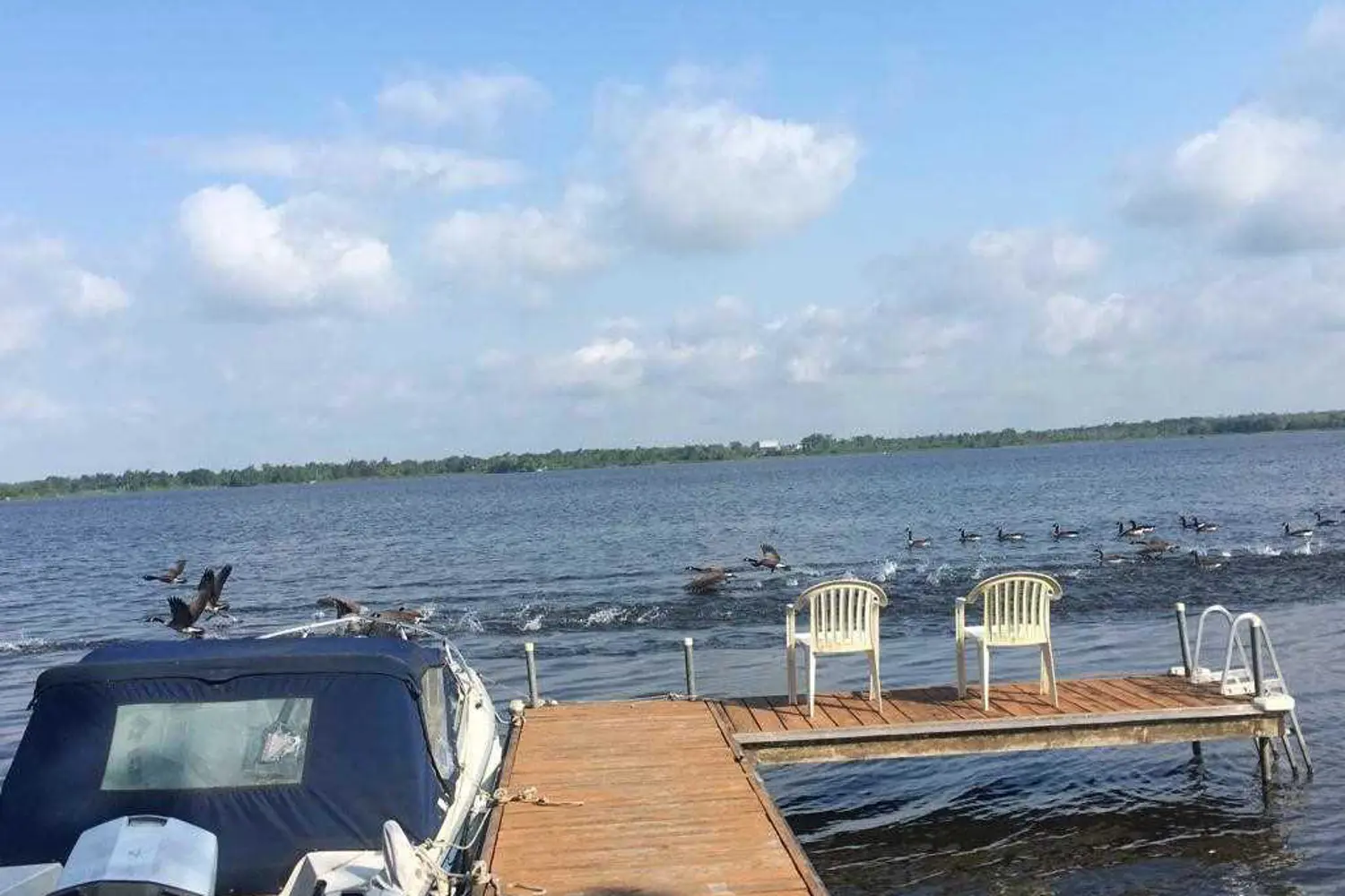 Additional image 8 of 175 Driftwood Shores Road