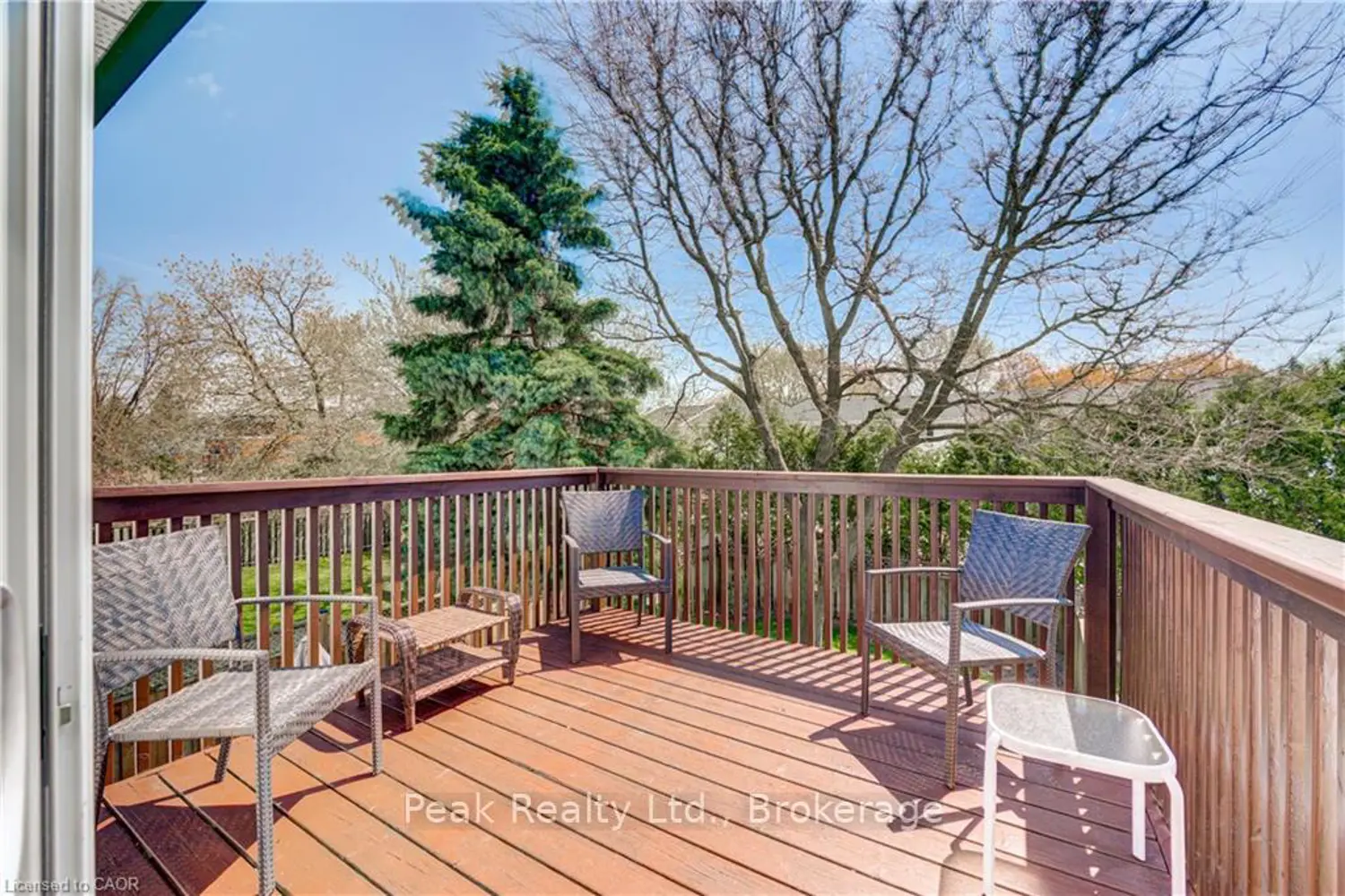 Additional image 10 of 441 Nelson Street