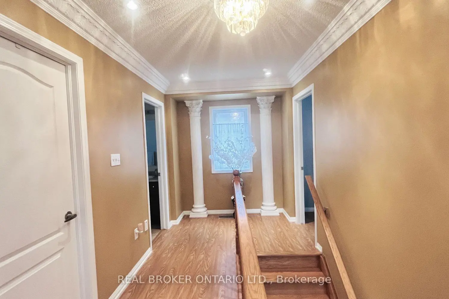 Additional image 10 of 49 Colchester Street