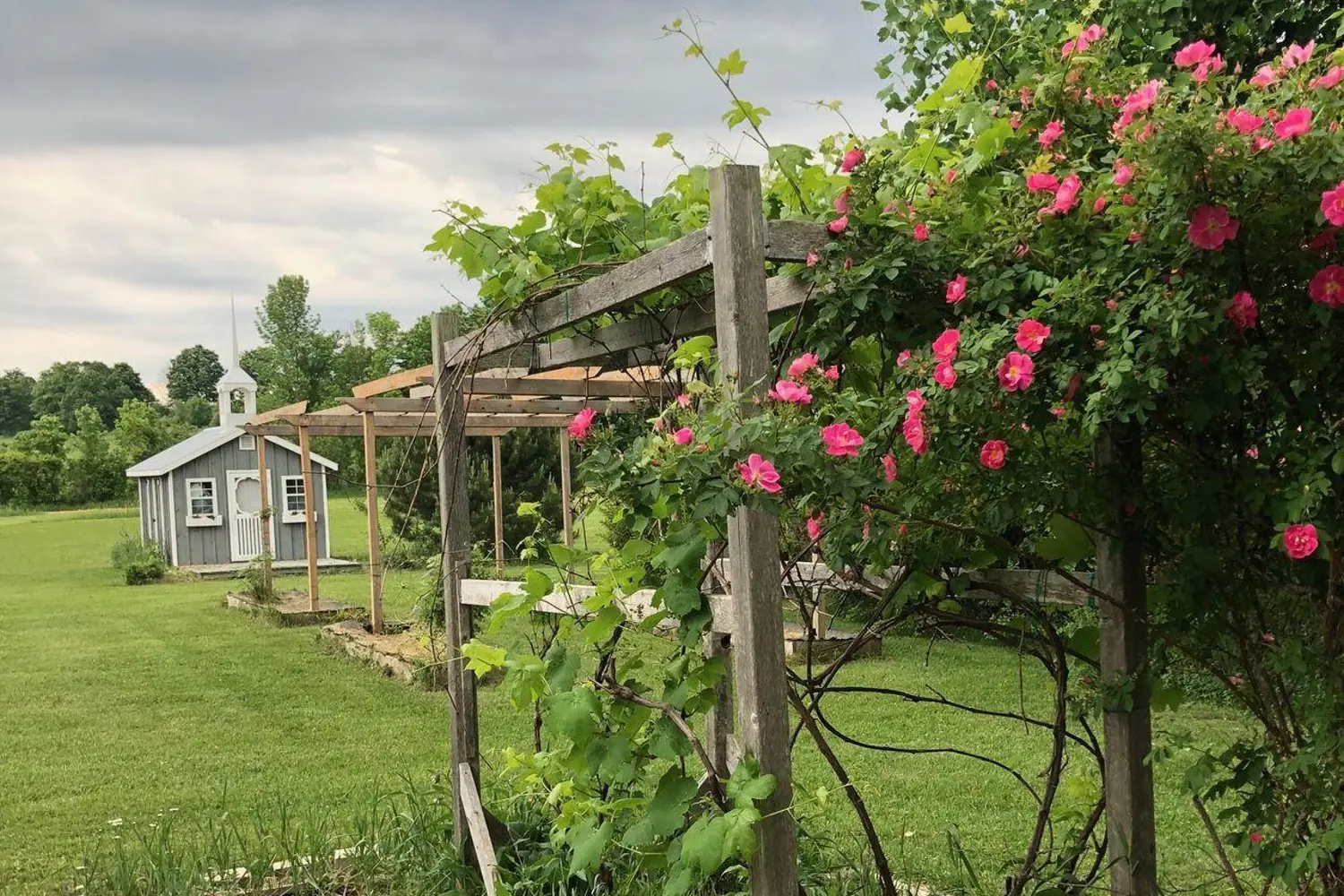 Additional image 16 of 137295 Grey Road 12