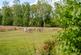 Additional image 37 of Tranwell Woods, Morpeth NE61
