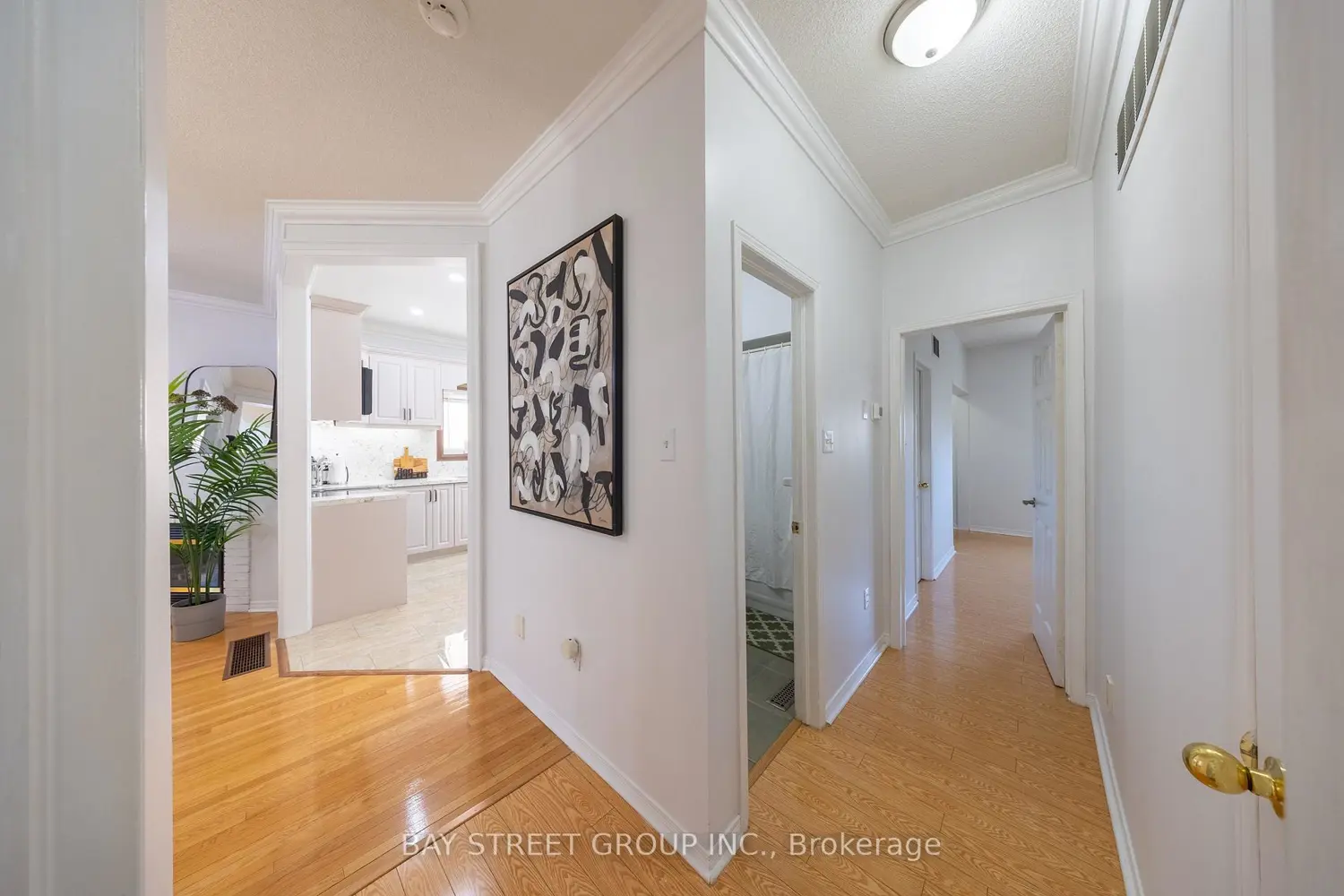 Additional image 10 of 7 Orchid Drive