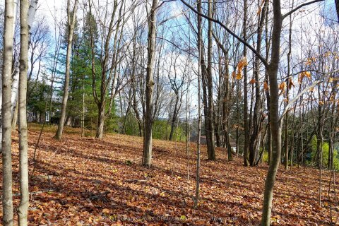 Additional image 8 of 8 Rice Lane, Huntsville, ON, P1H 1V4