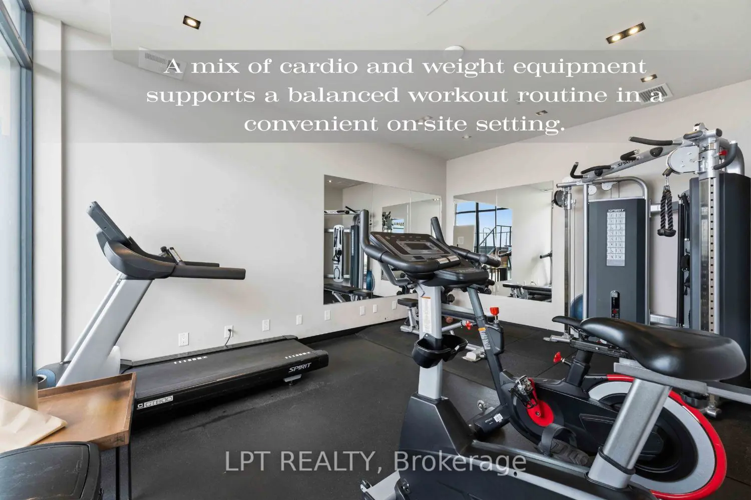 Additional image 15 of 203 Catherine Street 208