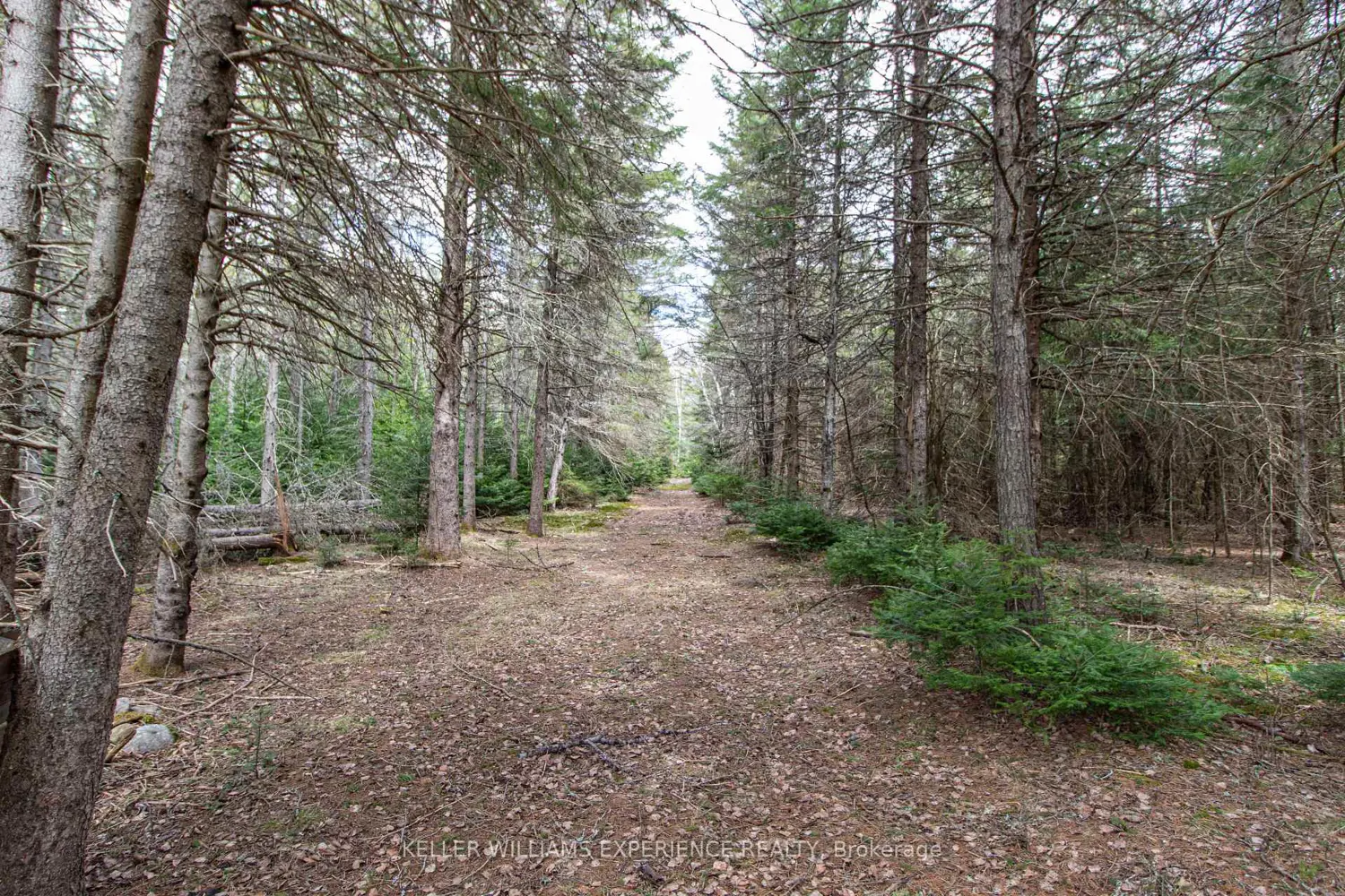 Additional image 12 of 213 Yearley Road