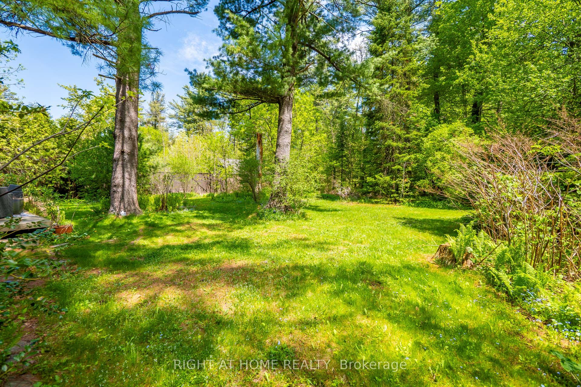 Additional image 4 of 255 Shaver Road, Hamilton, ON, L0R 1R0
