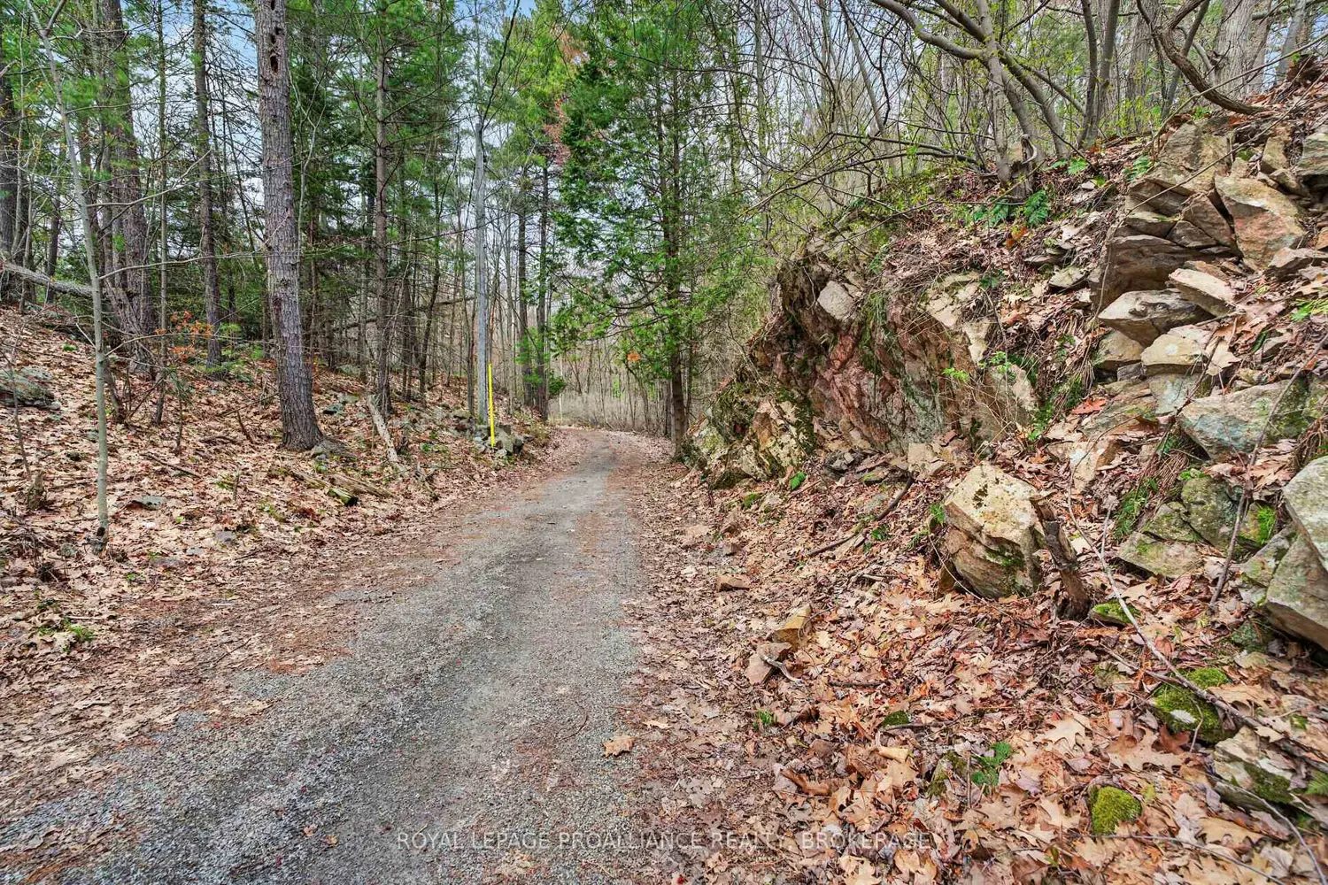 Additional image 19 of 224 Folly Road