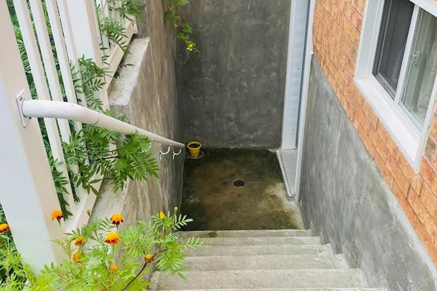 Additional image 16 of 1 Pughe Street