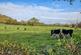 Additional image 27 of Rural setting Nr. Wookey