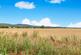 Additional image 38 of Bridstow, Ross-on-Wye