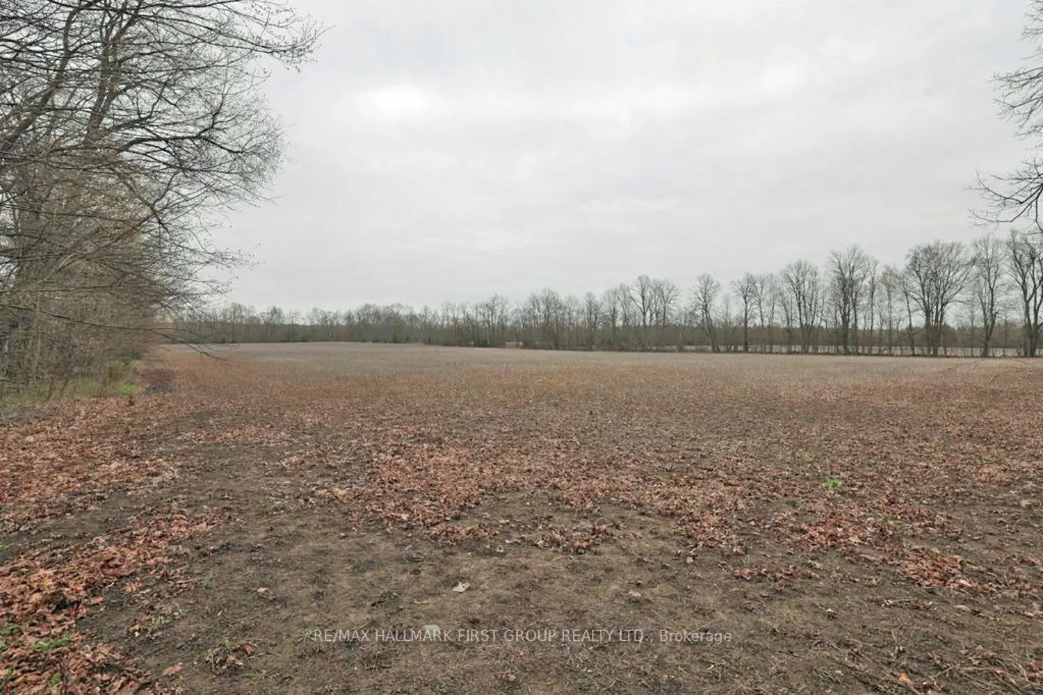 Additional image 15 of 324 Thomasburg Road