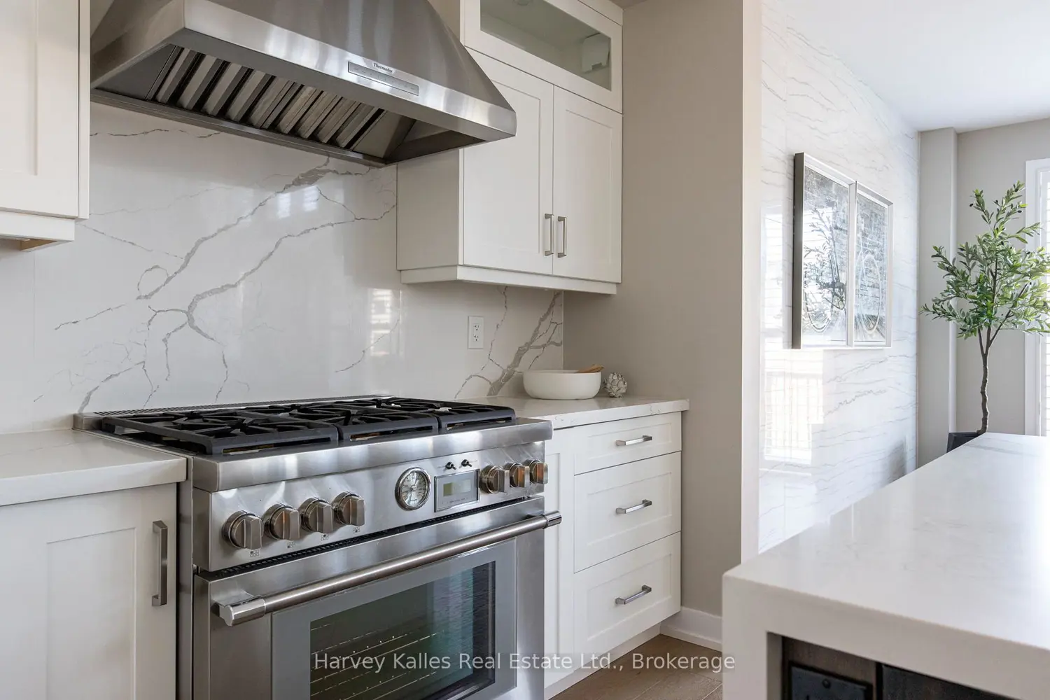 Additional image 4 of 163 Springside Crescent