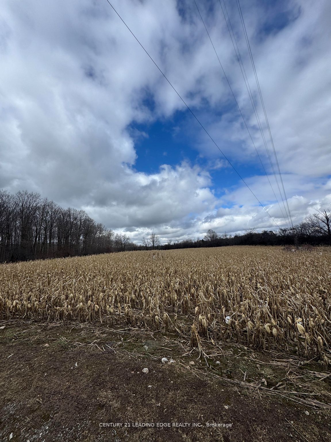 Additional image 5 of 8700 Coronation Road, Whitby, ON, L0B 1A0