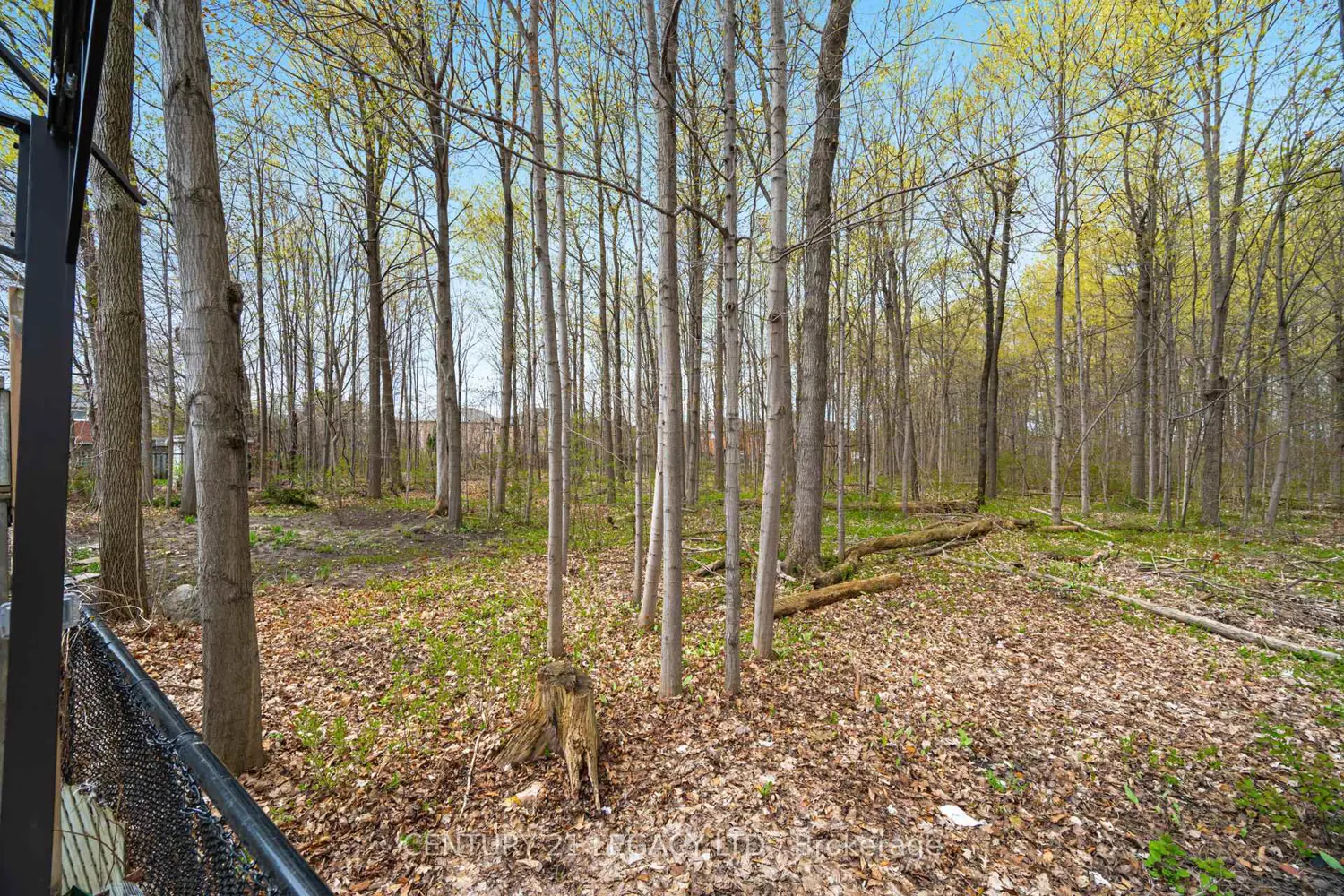 Additional image 19 of 28 Wildfire Road